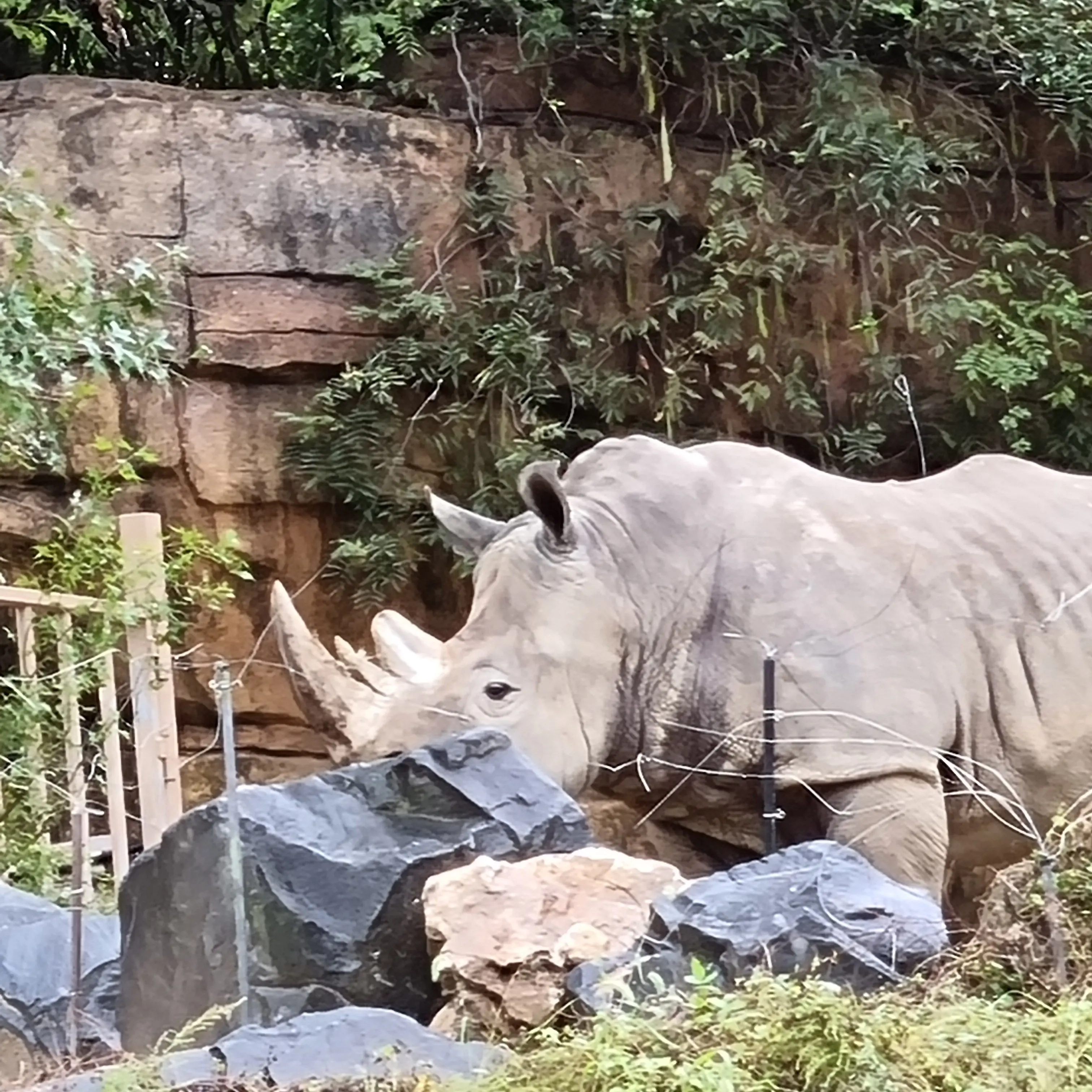 MintyLever4102의 싸모스한테뽀뽀로고문당하고있는케로??