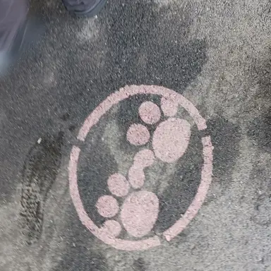 Profile image of 廉