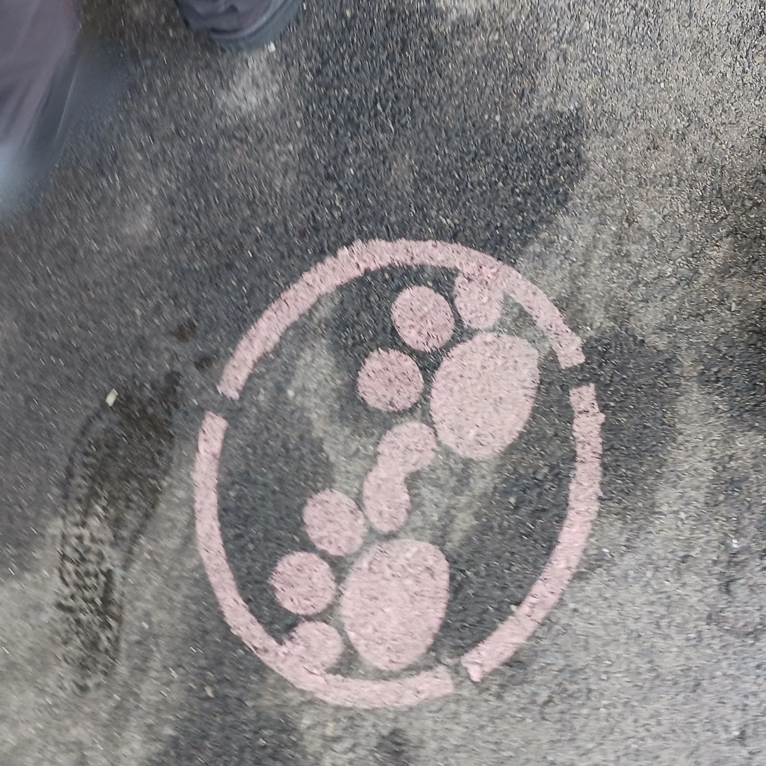 VagueOtter7836의 転校生