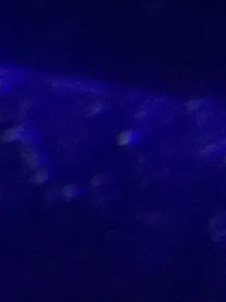 MazingoMazingo의 矛盾軸