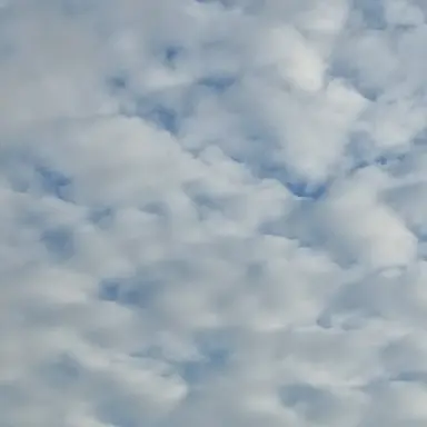 Profile image of 석매튜