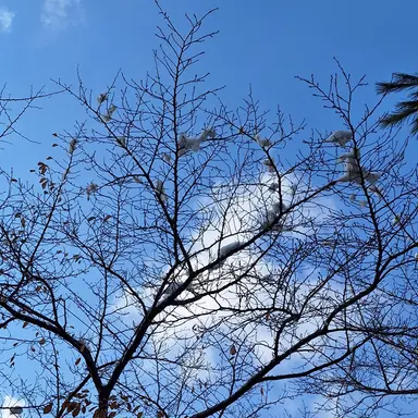 Profile image of 테키