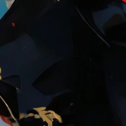 龍輝
