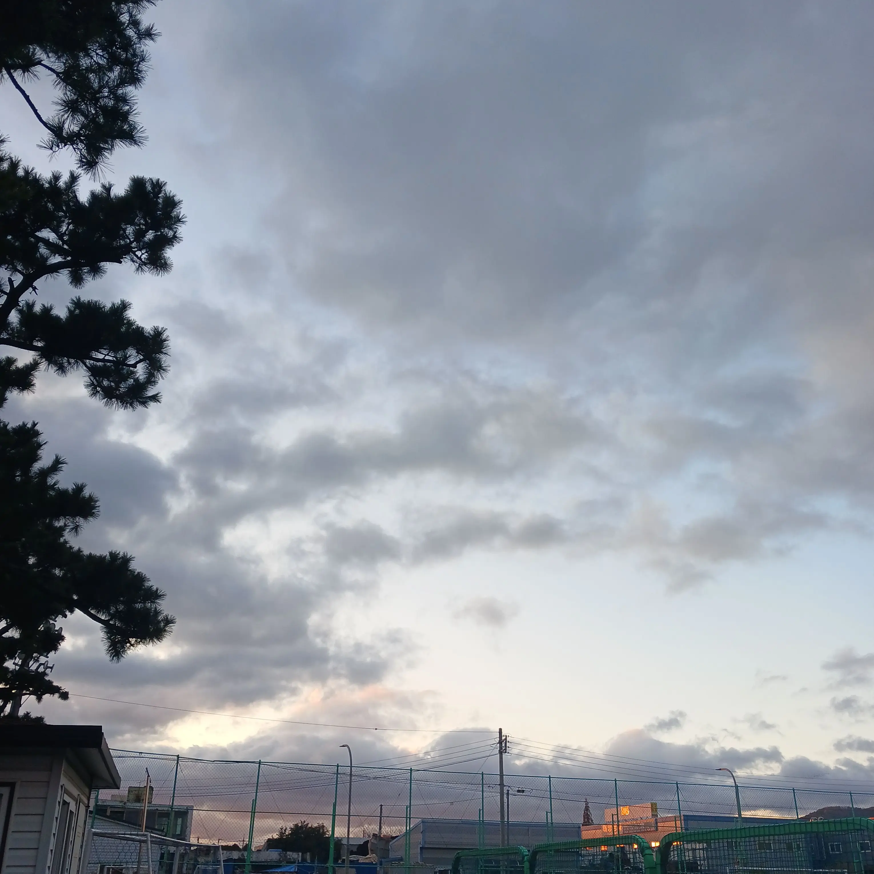 ehdgh_1123의 뜰팁고등학교