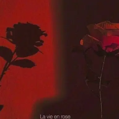 Profile image of 라더