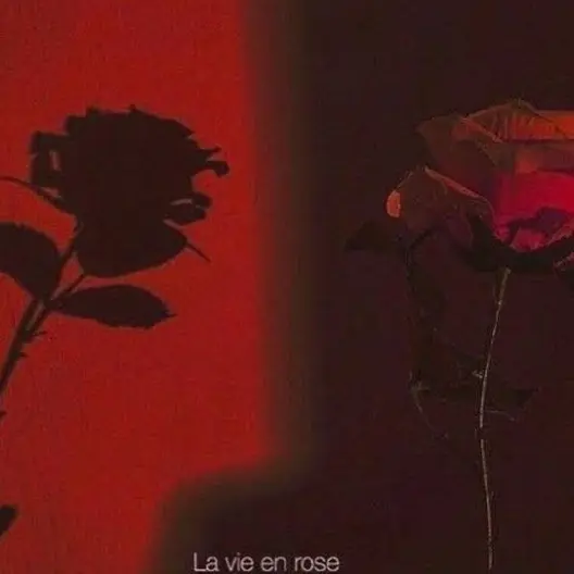 EthnicShock8135의 픽셀리