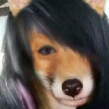 Profile image of 여우