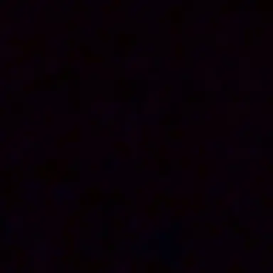Profile image of フィリックス