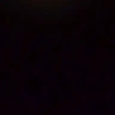 Profile image of リノ