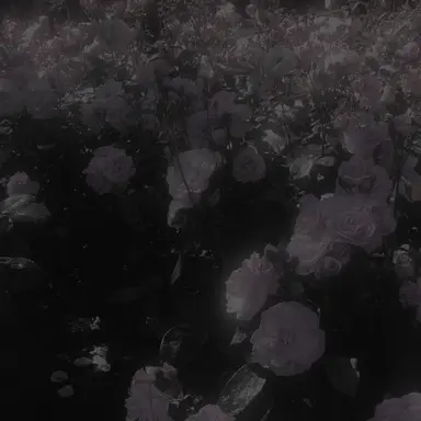 Profile image of 소상택