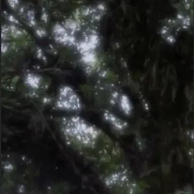 Profile image of 京本大我