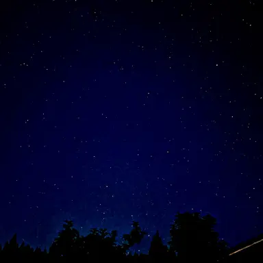 Profile image of 吉野 朔斗