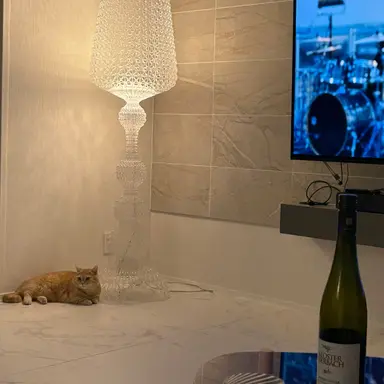 Profile image of 紬