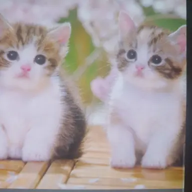 Profile image of 준브