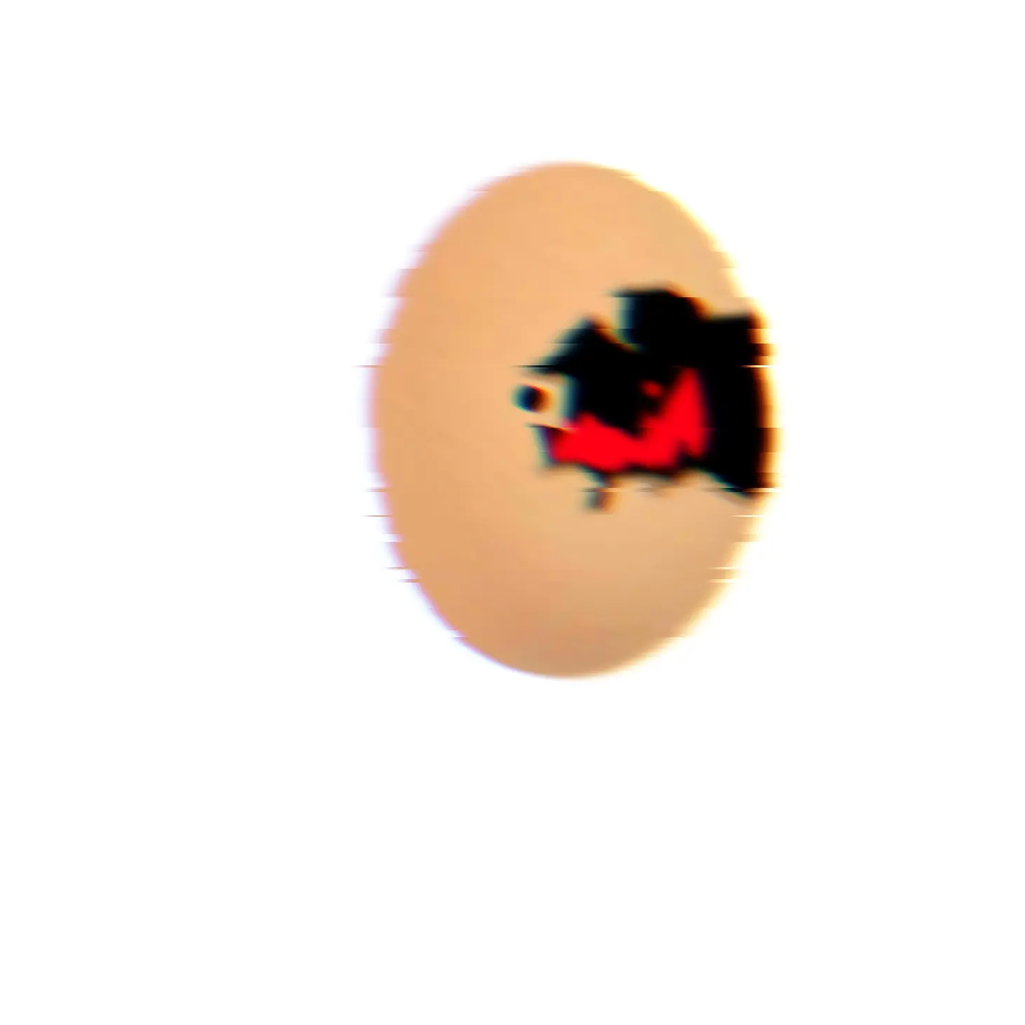eggtastegood235의 달걀쉐도우 1.0
