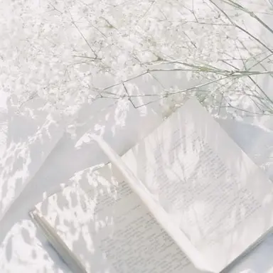 Profile image of いれいす