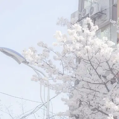 Profile image of 初兎