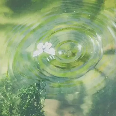 Profile image of 우유참치