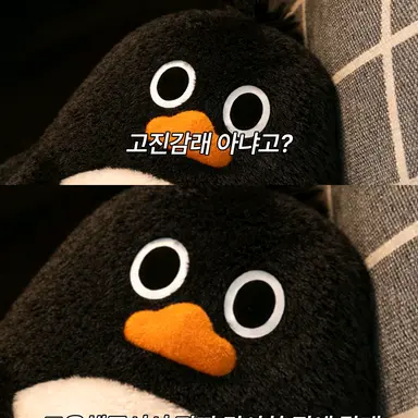 Profile image of 주은