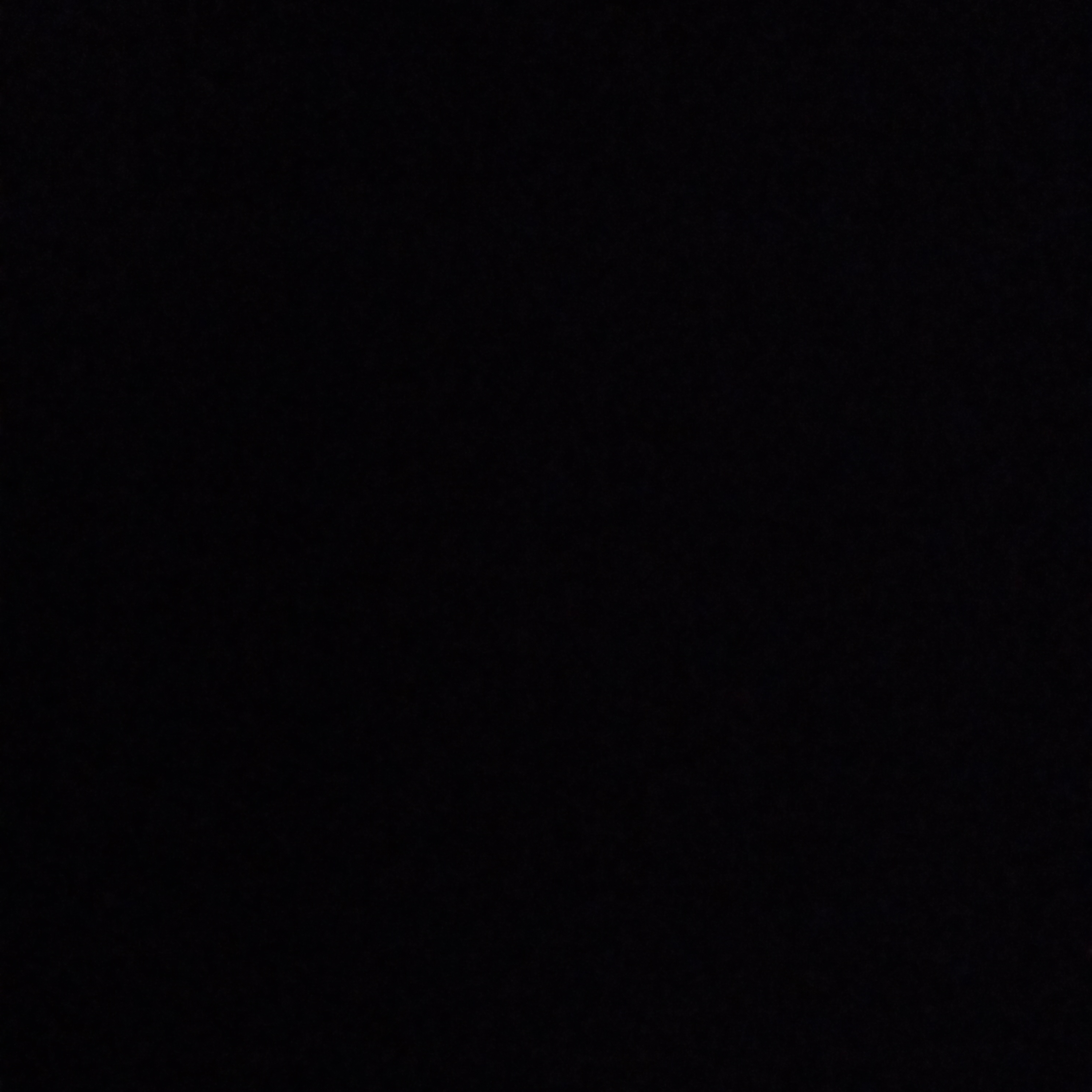 마주크루의롯데월드 같이사는걸포함 대표 이미지