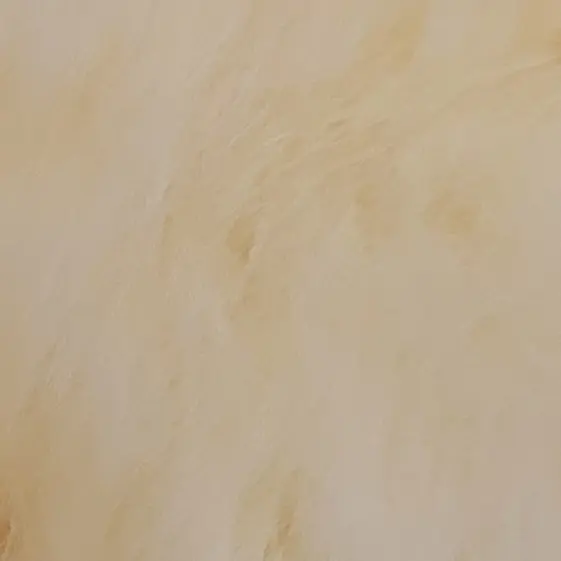 UNI.T.ERROR_404의 미스터리 수사반.