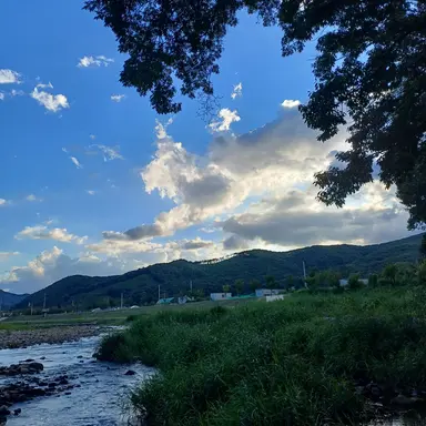 Profile image of 하연