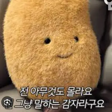 Profile image of 조직