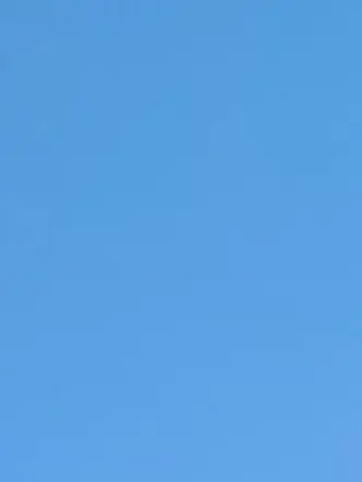 M.D.O_GIN의 하나마루, 테디, 유한