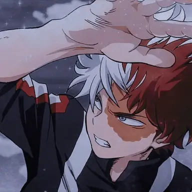Profile image of Shoto Todoroki