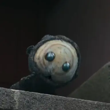 Profile image of 꺼먹살이