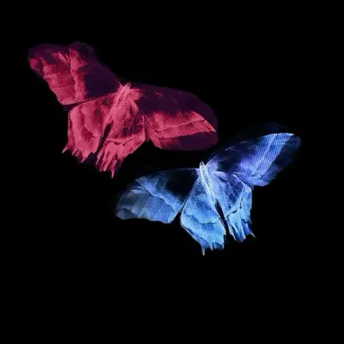 Profile image of 벨키