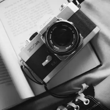 Profile image of 유기사