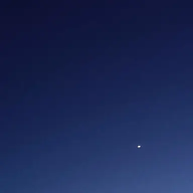 Profile image of 鬼