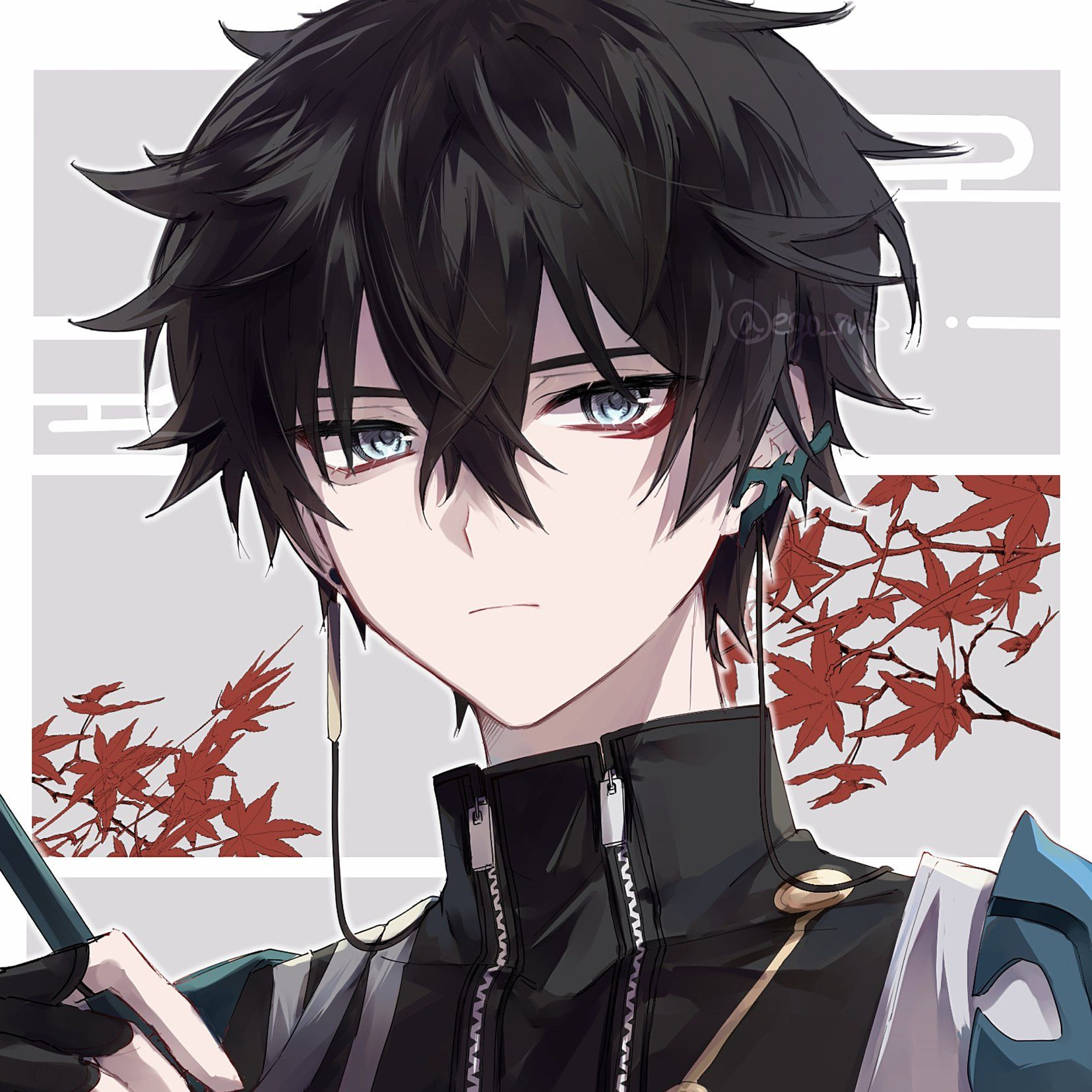 アナイクス - zeta