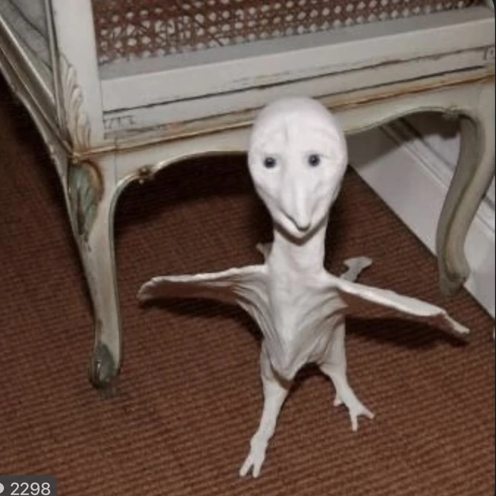 삐삐