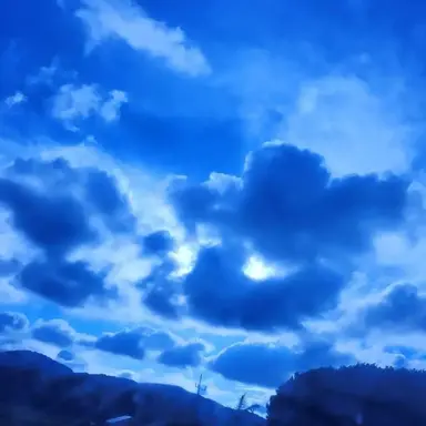 Profile image of 잠뜰