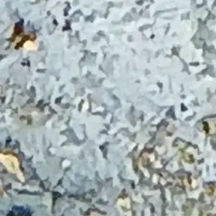 Profile image of 알림용