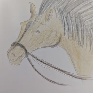 Profile image of 馬