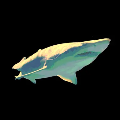 Profile image of 爔
