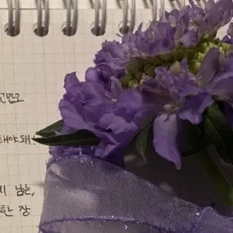 Profile image of 유성
