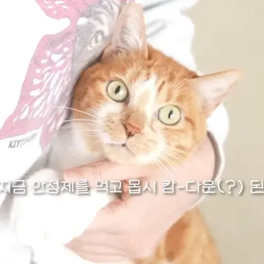 Profile image of 나나