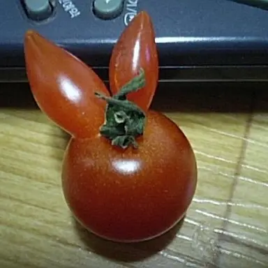 Profile image of 이지차ㅇ