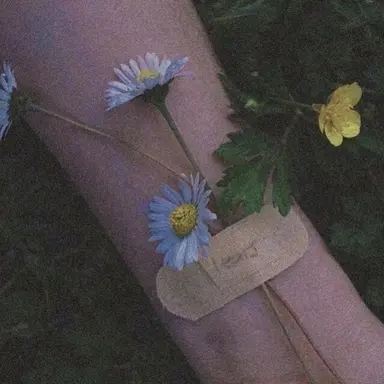 Profile image of 황 수 현