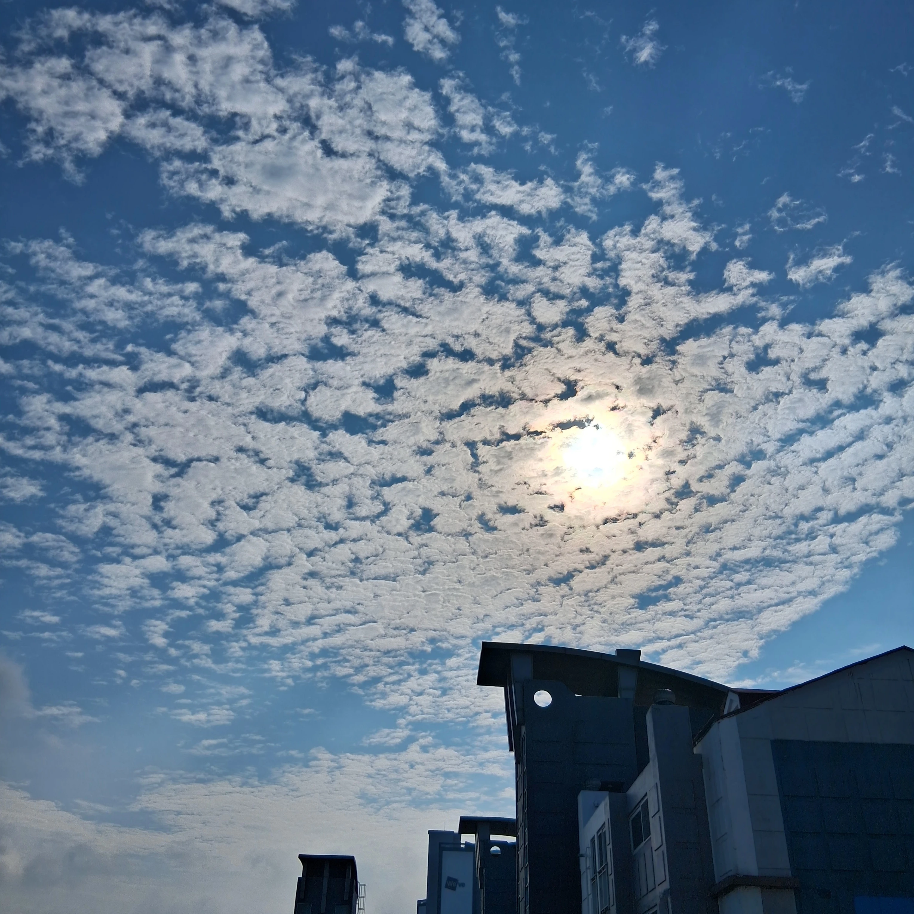 뜰팁 아이돌