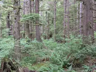 RareCard8099의 Twilight RPG