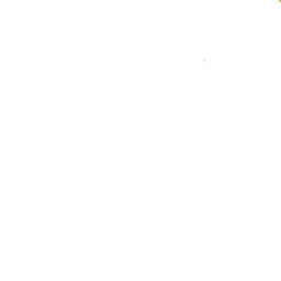 Profile image of 김동현