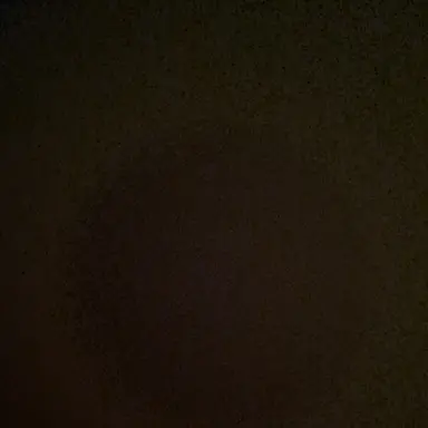 Profile image of 무명 가족