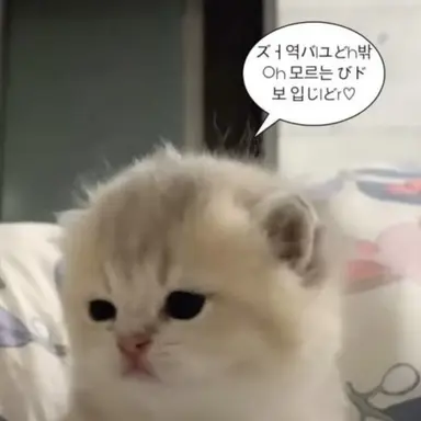 Profile image of 이무기