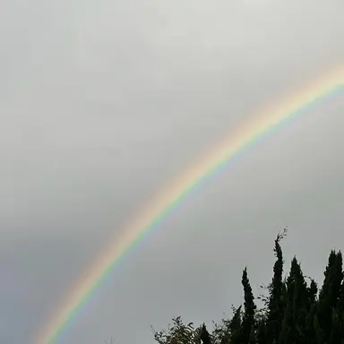 Profile image of 리키