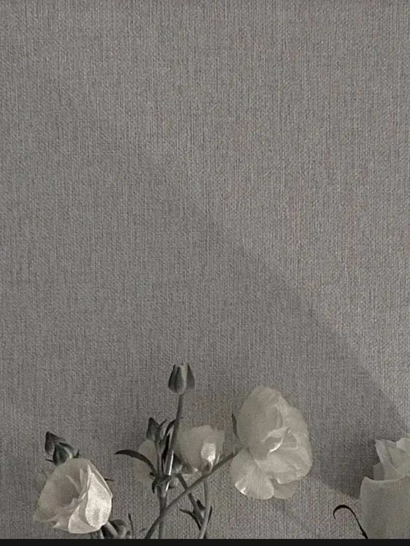 SI8n의 結婚しよう！